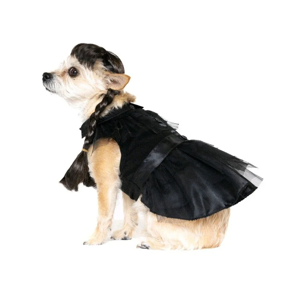 Vibrant Life Gothic Witch Dog/Pet Halloween Costume Wig & Outfit XS (5-10Lbs)